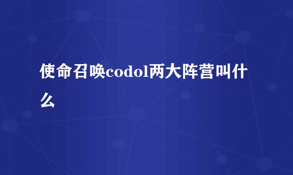 使命召唤codol两大阵营叫什么