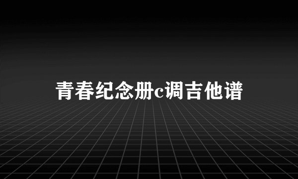 青春纪念册c调吉他谱