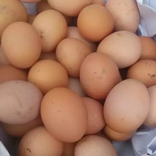 溏心蛋到底能不能吃？