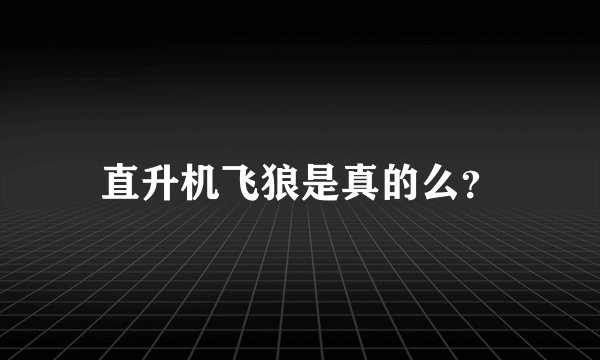 直升机飞狼是真的么？