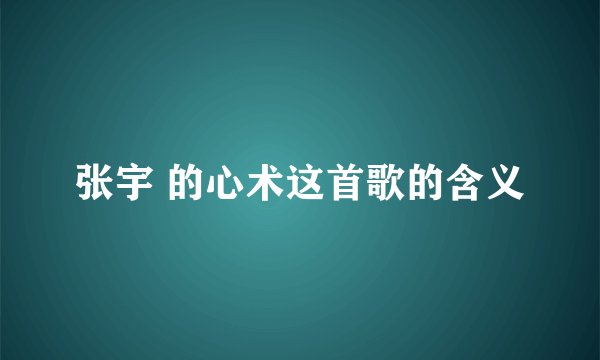 张宇 的心术这首歌的含义