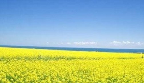 暑假旅游景点排行榜前十名