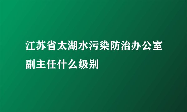 江苏省太湖水污染防治办公室副主任什么级别