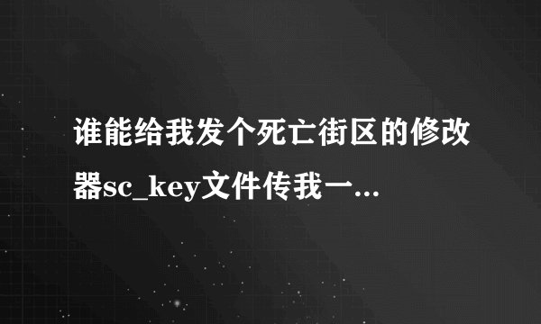 谁能给我发个死亡街区的修改器sc_key文件传我一个。谢谢了！