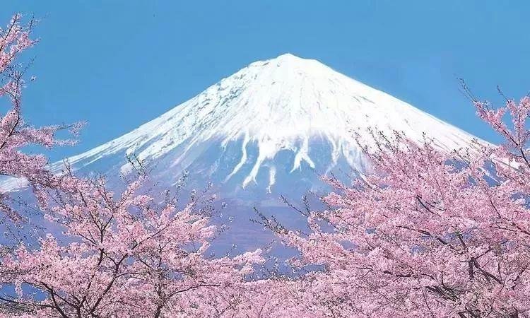 想不到原来富士山居然是私人财产，那么它究竟是属于谁的呢？