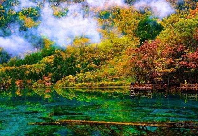 九寨沟的火花海将恢复开放，它之前受到了什么“伤害”？