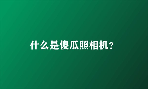 什么是傻瓜照相机？