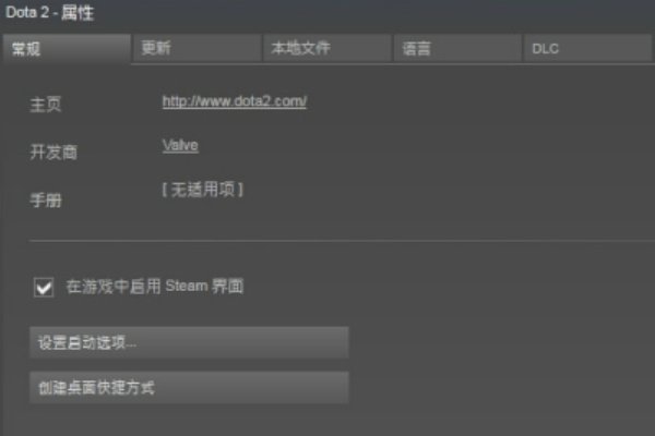 steam游戏的启动项指令的含义