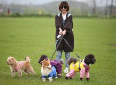 武汉一女子与遛狗邻居起冲突后轻生，百名业主悼念，现场情况如何？