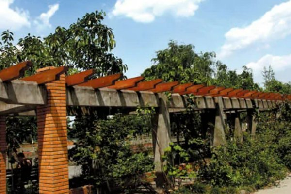 成都幼师学校有哪些?