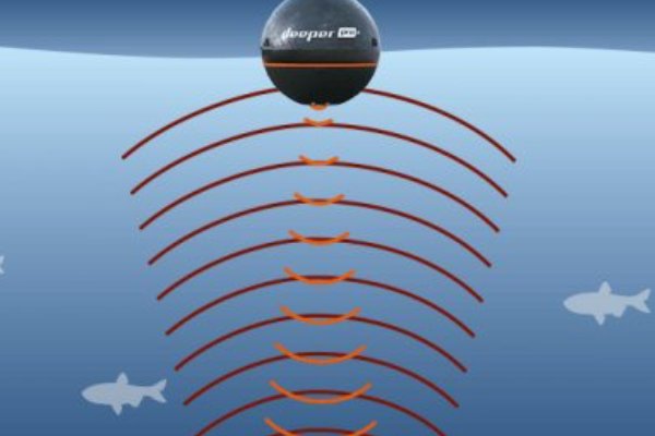 声纳指的是什么呢?