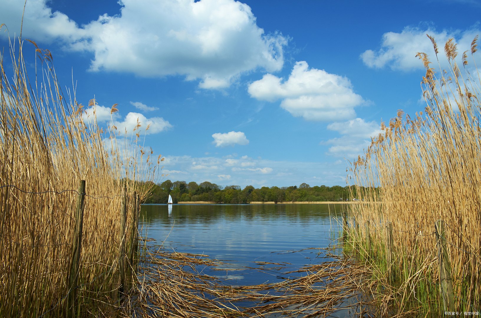 在农村养殖黄鳝的时候，该如何培育种苗？
