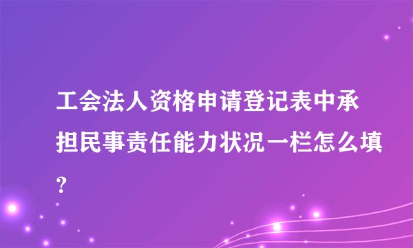 工会法人资格申请登记表中承担民事责任能力状况一栏怎么填？