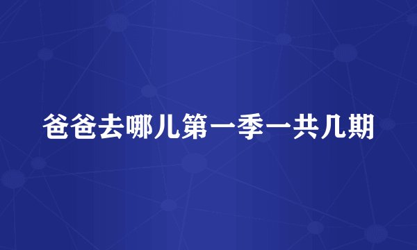 爸爸去哪儿第一季一共几期