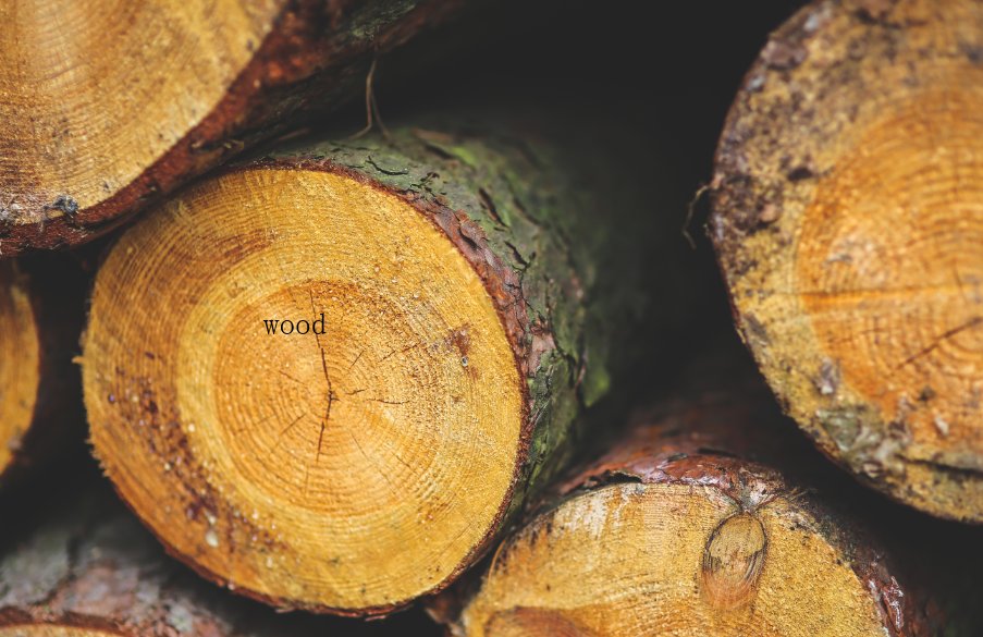 wood是什么意思