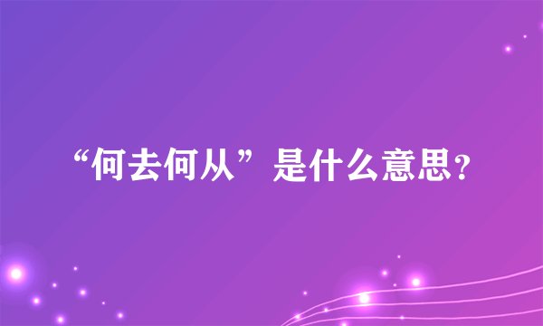 “何去何从”是什么意思？