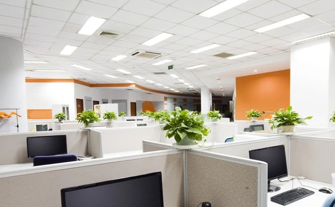 ofc是什么意思？