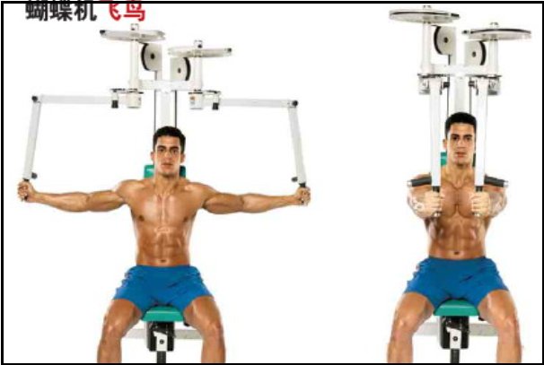 如何快速有效健胸?