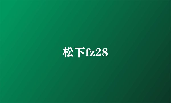 松下fz28