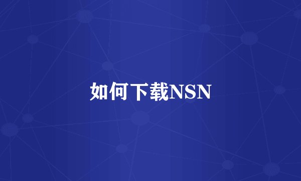如何下载NSN