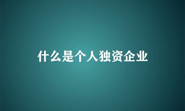 什么是个人独资企业
