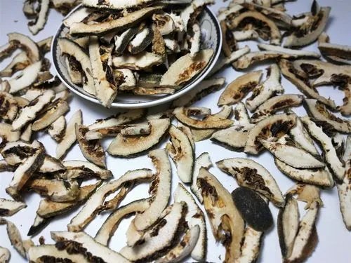 中药枳壳的作用是什么？