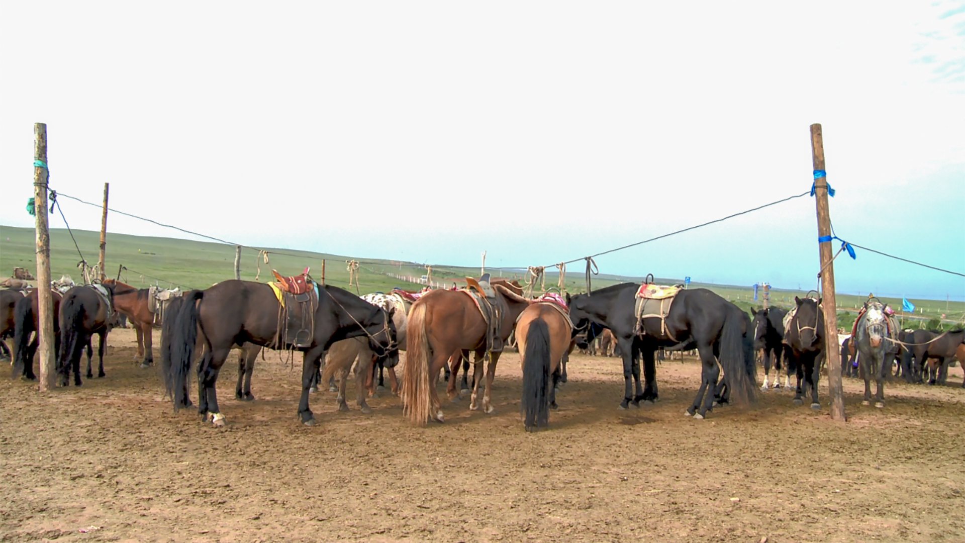 蒙古族的那达慕大会，一般是什么时候开始？