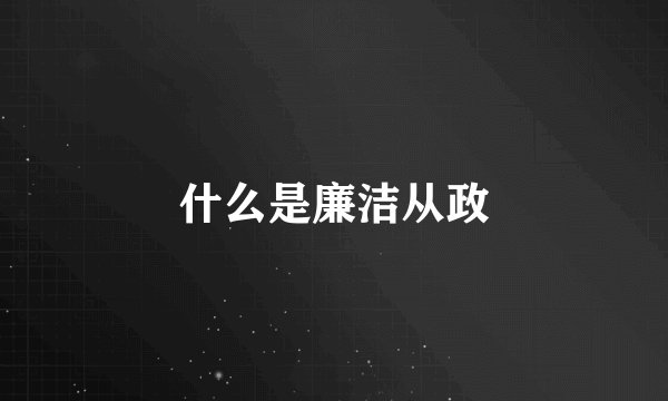 什么是廉洁从政