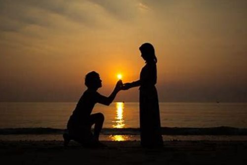 proposal是什么意思