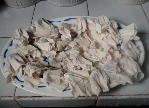 肉燕为什么叫肉燕