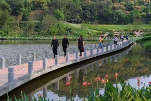 深圳一日游免费必去的地方