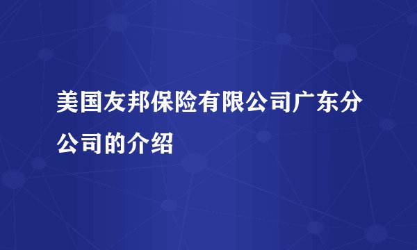 美国友邦保险有限公司广东分公司的介绍