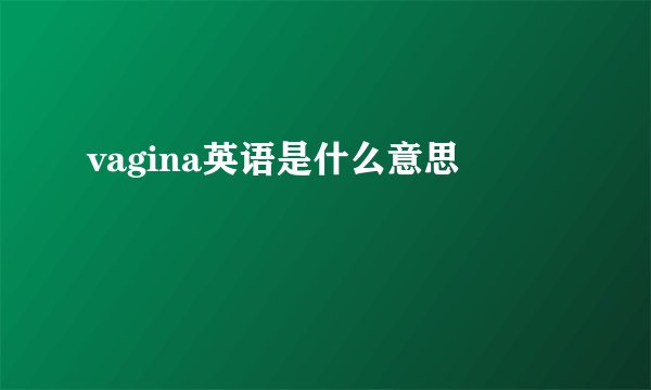 vagina英语是什么意思