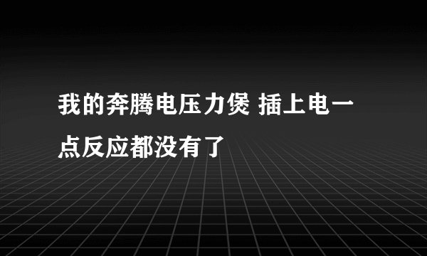 我的奔腾电压力煲 插上电一点反应都没有了