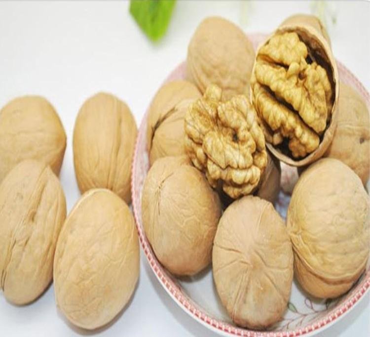 核桃为什么被称为“长寿果”？吃了真的有助于长寿吗？