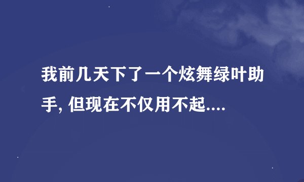 我前几天下了一个炫舞绿叶助手, 但现在不仅用不起.... - -, 连炫舞都打不开了. 这是怎么回事呐.?