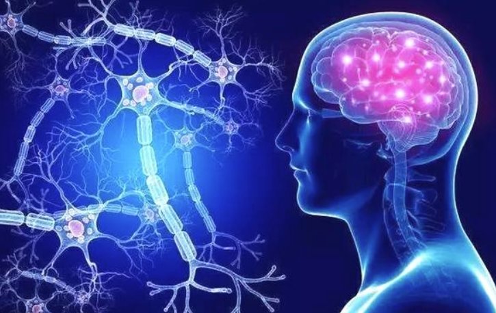 什么是组胺？有什么作用