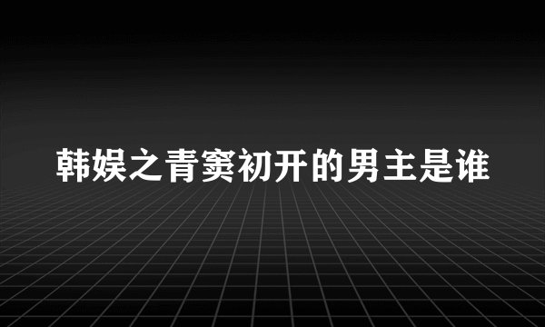 韩娱之青窦初开的男主是谁