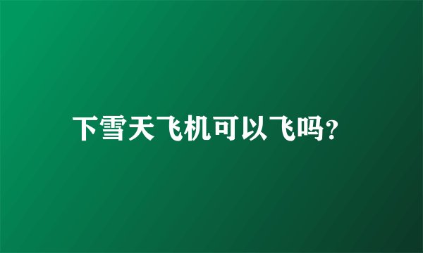 下雪天飞机可以飞吗？