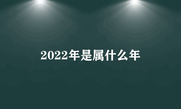 2022年是属什么年