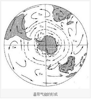 什么是温带气旋