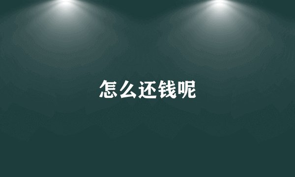 怎么还钱呢