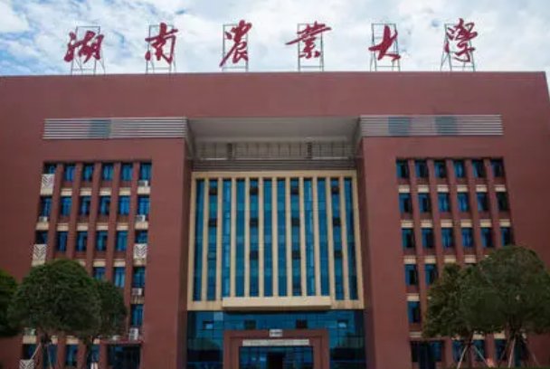 湖南农业大学什么专业最好？