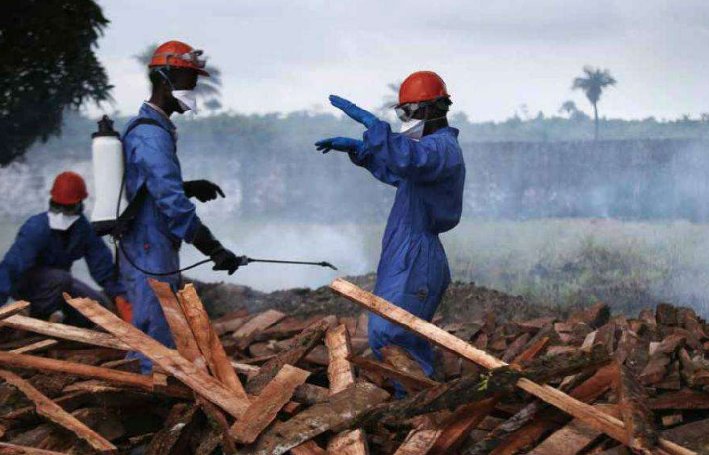 埃博拉病毒起源