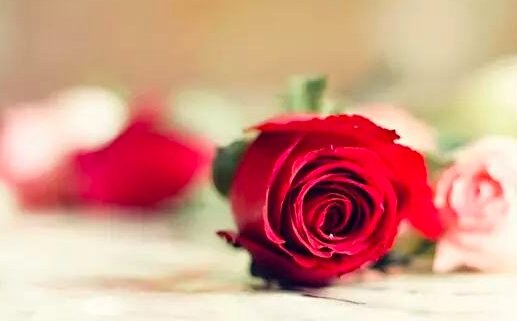 情人节为什么叫圣瓦伦丁节