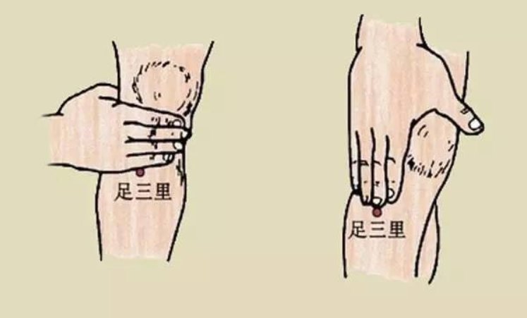 求“足三里”的准确位置图？