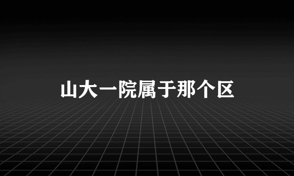 山大一院属于那个区