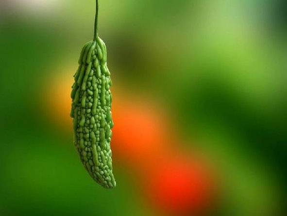 去火的蔬菜有哪些