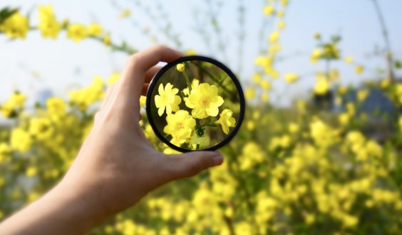 什么是生命的重建？