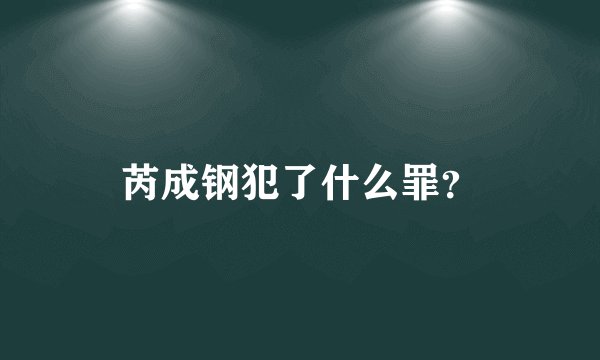 芮成钢犯了什么罪？